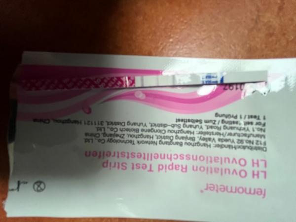 Bild zu Ovu Test - Baby Forum - Allgemeine Themen