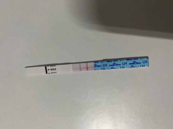 Bild zu OVU positiv ? - Baby Forum - Allgemeine Themen