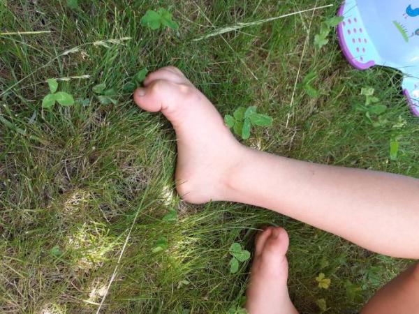 Bild zu 