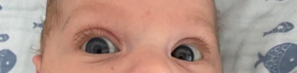 Bild zu Augenfarbe - Baby Forum - Allgemeine Themen