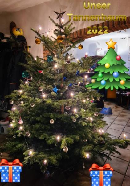 Bild zu Frohe Weihnachten euch allen - Baby Forum - Allgemeine Themen