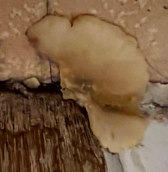 Bild zu Problem im Badezimmer - Baby Forum - Allgemeine Themen