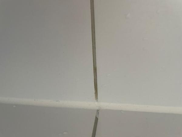 Bild zu Gelbe Fugen in der Dusche - Baby Forum - Allgemeine Themen