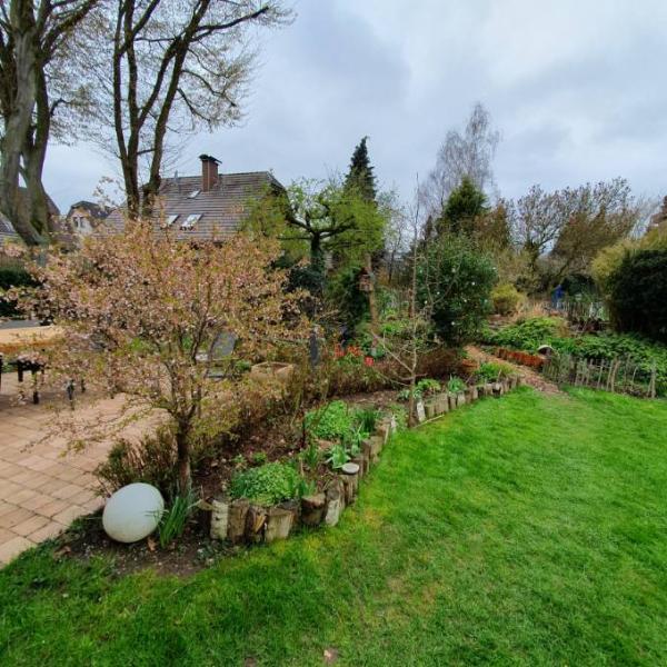 Bild zu Wer mag seinen Garten zeigen? - Baby Forum - Allgemeine Themen