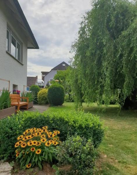 Bild zu 