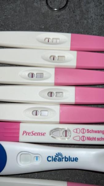Bild zu Positiv oder VL? - Baby Forum - Allgemeine Themen