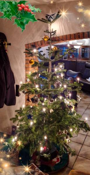 Bild zu