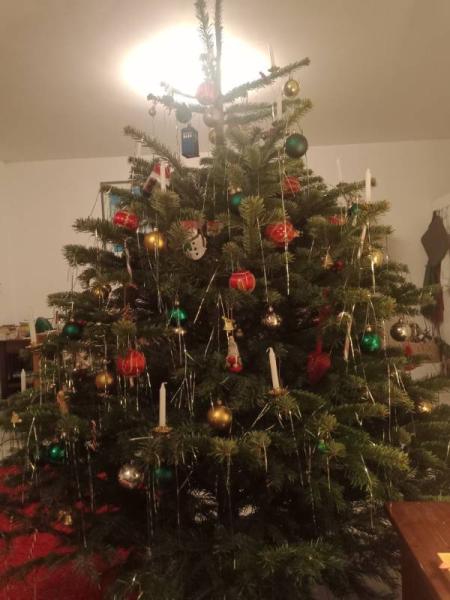 Bild zu 