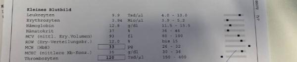 Bild zu Blutbild - wer kennt sich aus? - Baby Forum - Allgemeine Themen