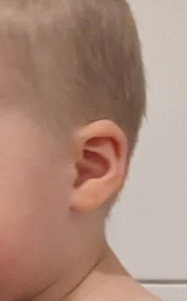 Bild zu 