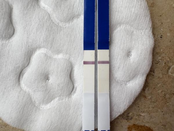 Bild zu One step sst - Baby Forum - Allgemeine Themen