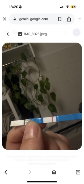 Bild zu Schwanger? - Baby Forum - Allgemeine Themen