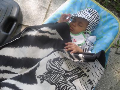 Bild zu WAS SOLL ICH TUN? - Kochen für Kinder ✔️ Expertenforum