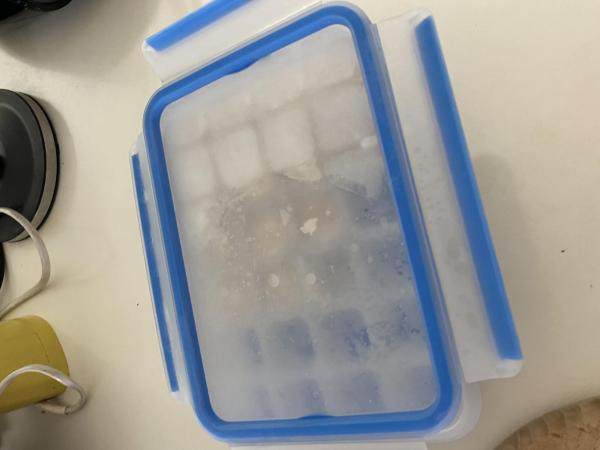 Bild zu Gefrierbrand auf Fisch/fleisch etc. - Kochen für Kinder ✔️ Expertenforum