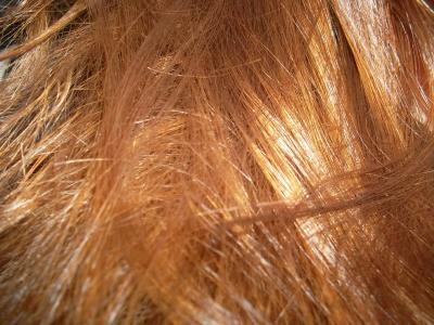 Bild zu Wie würdet ihr (Haare) - Wellness, Fitness und Beauty