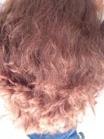 Bild zu Haariges Problem - Farbe - Wellness, Fitness und Beauty