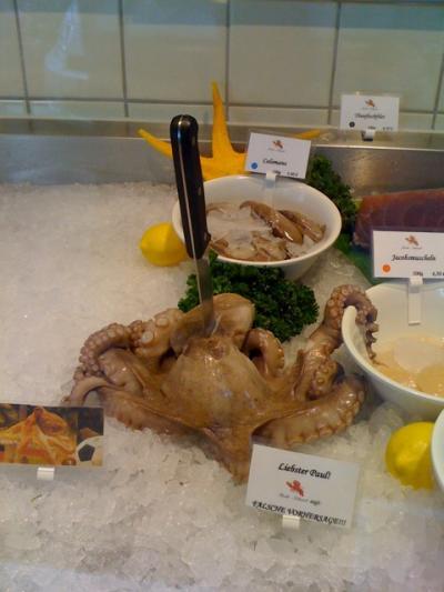 Bild zu "das war Paul...." - Sport Forum