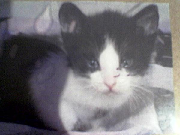 Bild zu 