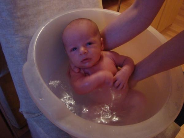 Bild zu