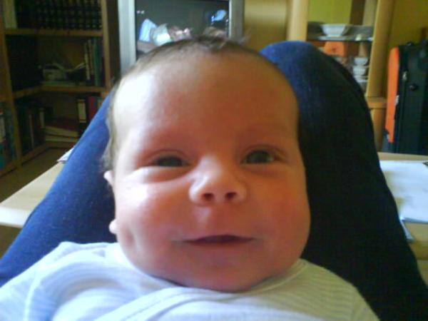 Bild zu 