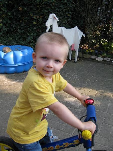 Bild zu 