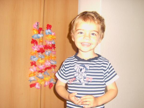 Bild zu