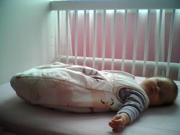 Bild zu