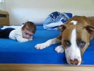 Bild zu