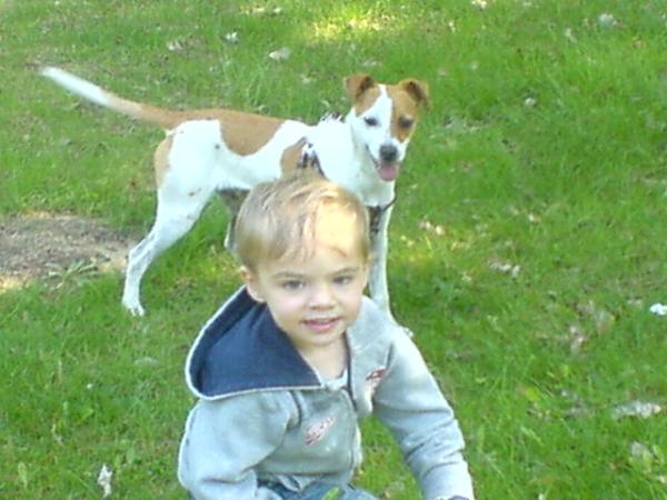 Bild zu