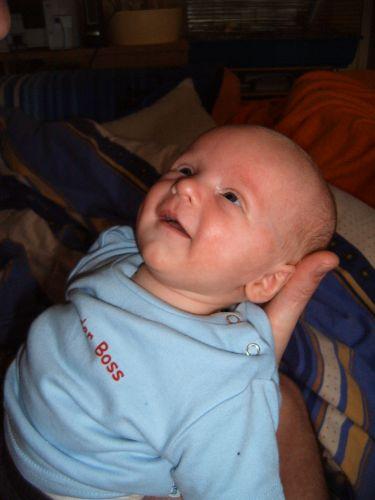 Bild zu