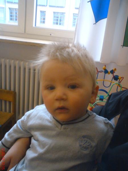 Bild zu 