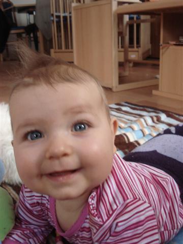 Bild zu 
