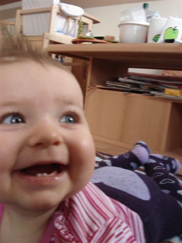 Bild zu 