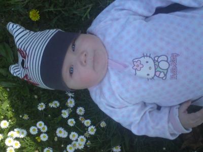 Bild zu 