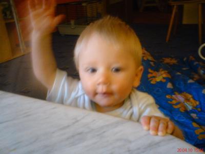 Bild zu