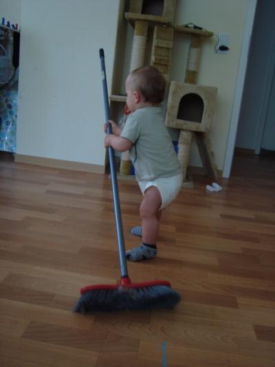 Bild zu