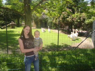 Bild zu