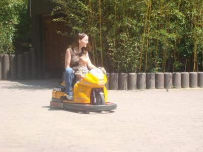 Bild zu