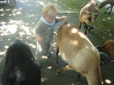 Bild zu