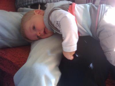 Bild zu 