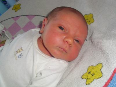 Bild zu 