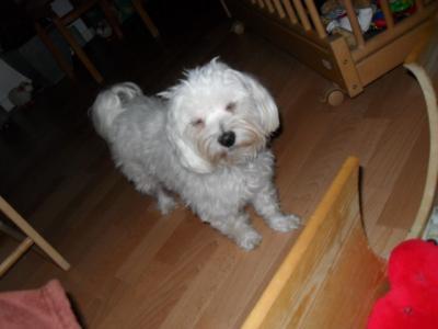 Bild zu