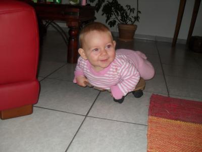 Bild zu 