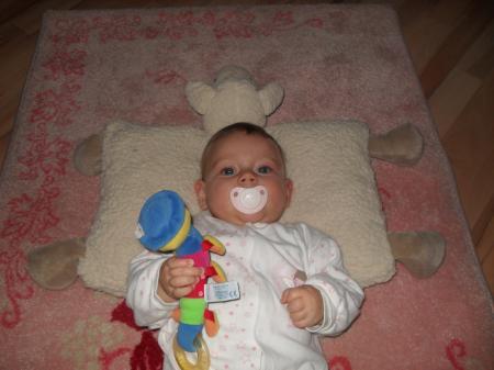 Bild zu