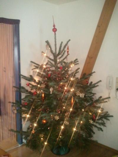 Bild zu hier ein foto von unseren weihnachtsbaum - Schwanger unter 20 - Forum für junge Schwangere und Eltern
