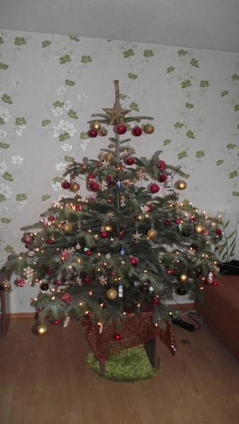 Bild zu So hier unser Weihnachtsbaum - Schwanger unter 20 - Forum für junge Schwangere und Eltern