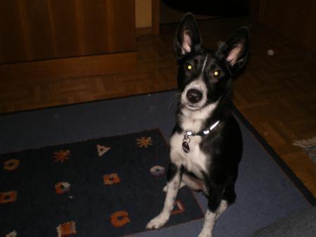 Bild zu 