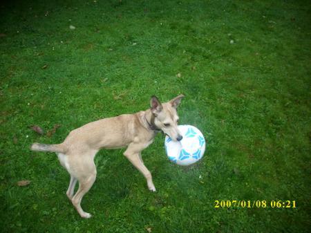 Bild zu