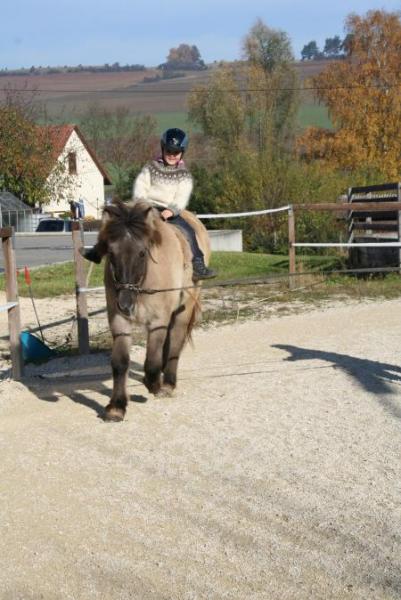 Bild zu 