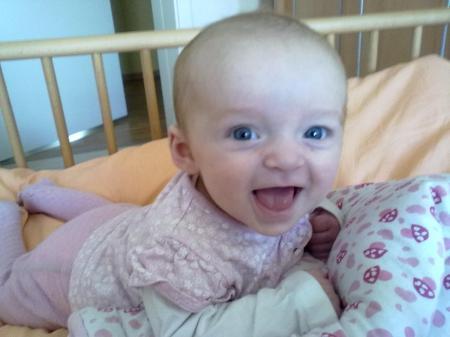 Bild zu 